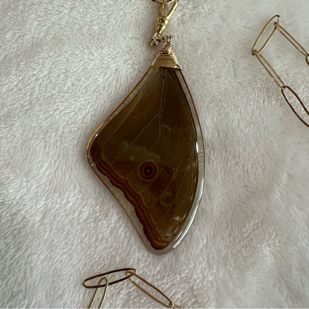 Taylor And Tessier Morphos Blue Butterfly Wing Necklace - Picture 2 of 5